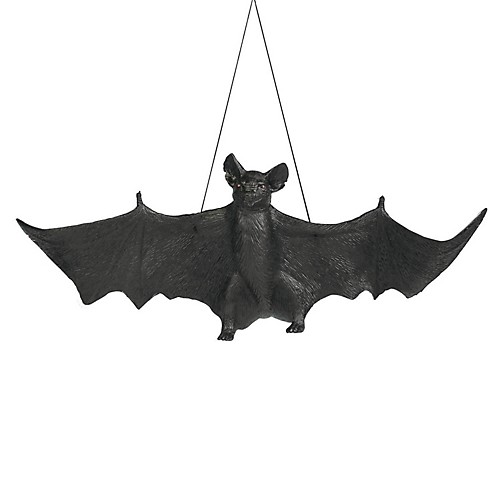 Featured Image for 22″ Bat