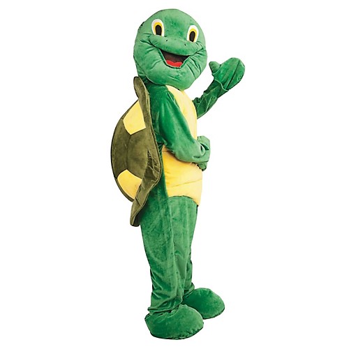 Featured Image for Turtle Mascot