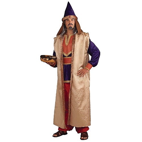 Featured Image for Men’s Wiseman Costume