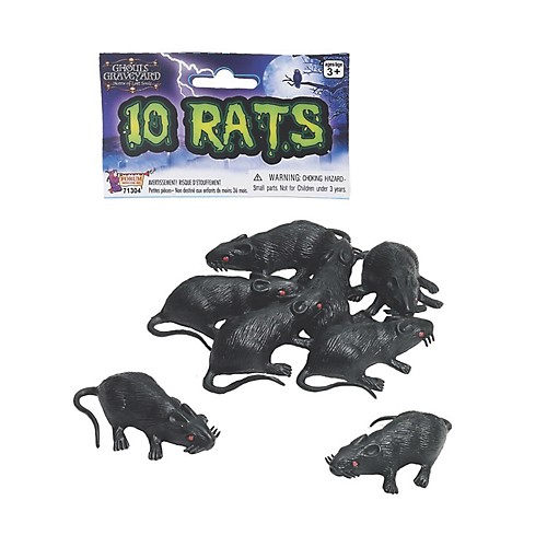 Featured Image for Rats – Set of 10