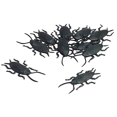 Featured Image for Cockroaches – Pack of 10