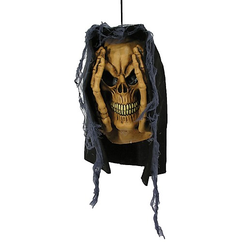 Featured Image for Peeping Tom Window Prop Skull