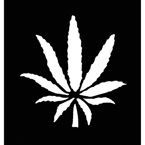 Featured Image for Stencil Weed Plant Brass