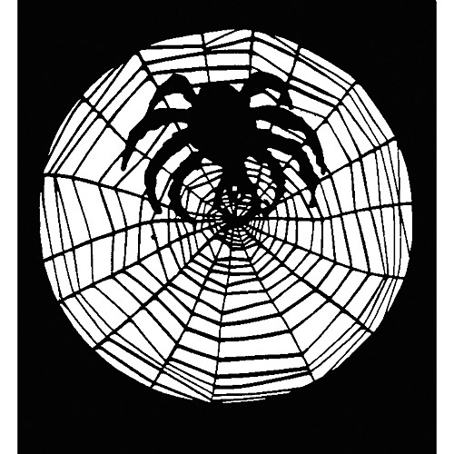 Featured Image for Stencil Spider with Web Stainless