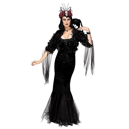 Featured Image for Women’s Raven Mistress Costume