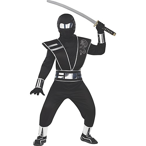 Featured Image for Silver Mirror Ninja