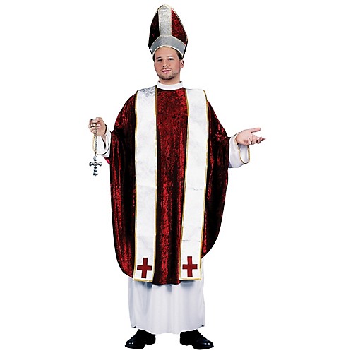 Featured Image for Cardinal Costume