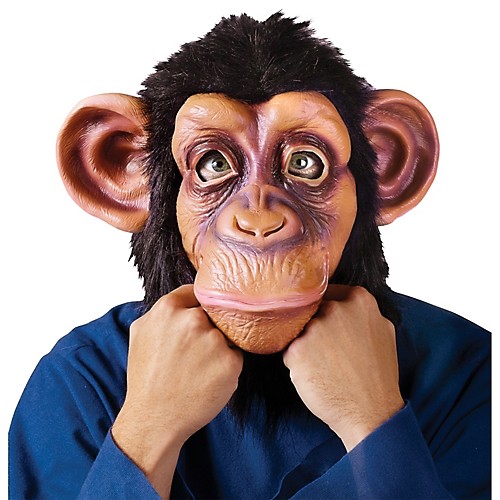 Featured Image for Comic Chimp Mask – The Lazy Song