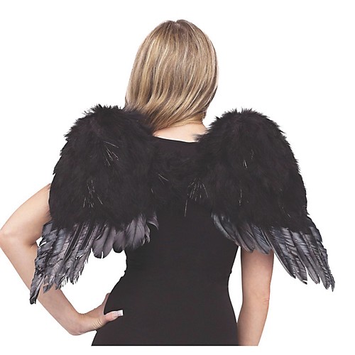 Featured Image for Angel Wings Feather