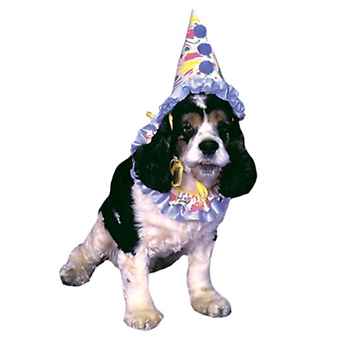 Featured Image for Clownn Pet Costume