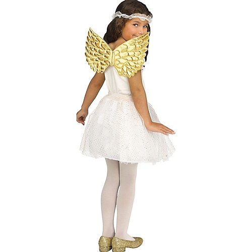 Featured Image for Metallic Wings – Child