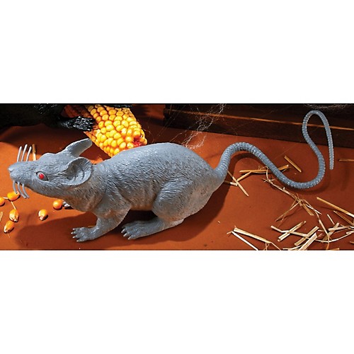 Featured Image for 17″ Big Gray Rat
