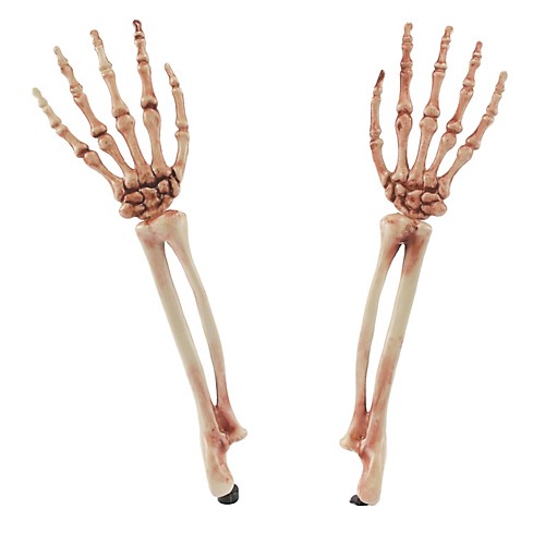 Featured Image for Skeleton Arms