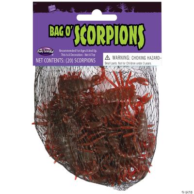 Featured Image for Scorpions in a Bag