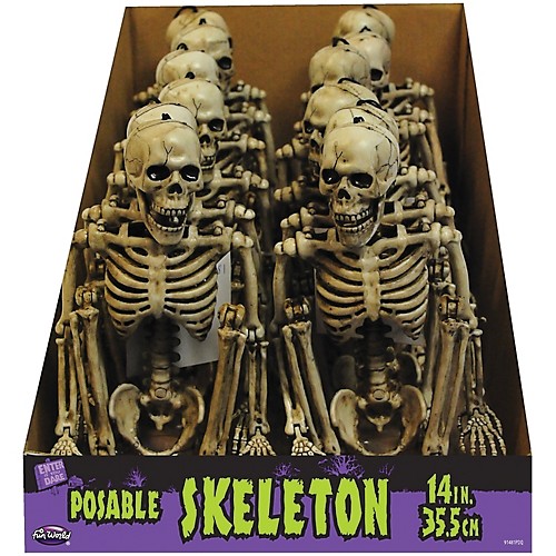Featured Image for 14″ Posable Skeleton