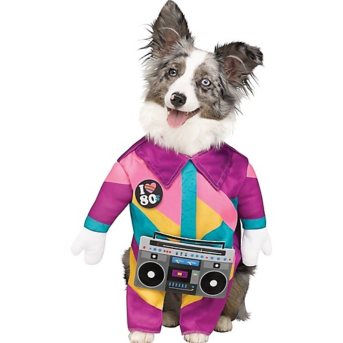 Featured Image for 80’s Pet Costume