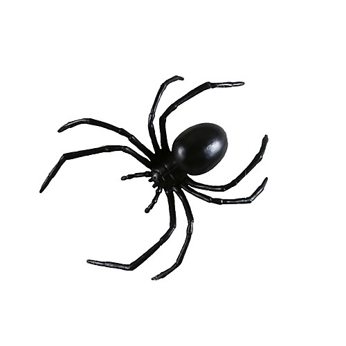 Featured Image for 6″ Black Widow Spider