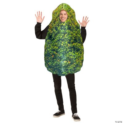 Featured Image for Bush Adult Costume