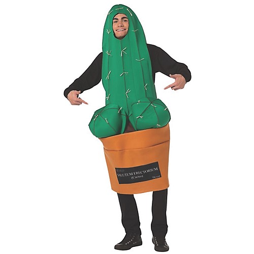 Featured Image for Happy Cactus Costume