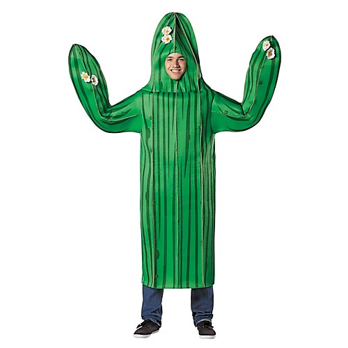 Featured Image for Cactus Costume