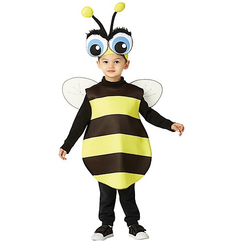 Featured Image for Big Eyed Bee
