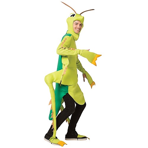 Featured Image for Grasshopper Costume