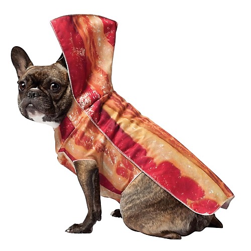Featured Image for Bacon Dog Costume
