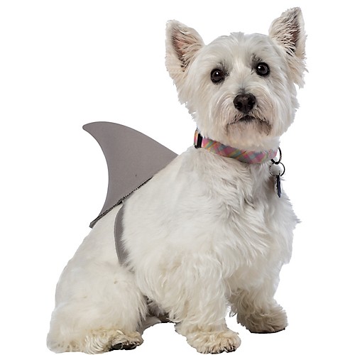Featured Image for Shark Fin Dog Costume
