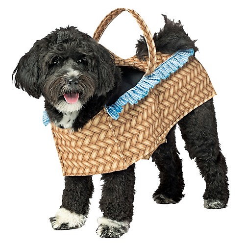 Featured Image for Dog Basket Dog Costume