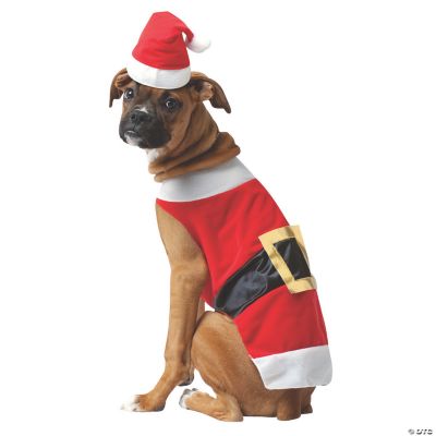 Best Dog Christmas Outfits And Costumes|Hellow Dog |  