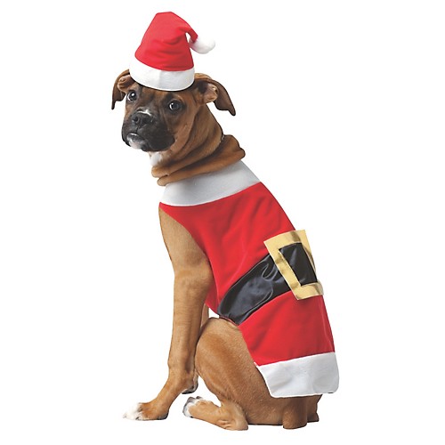 Featured Image for Santa Dog Costume