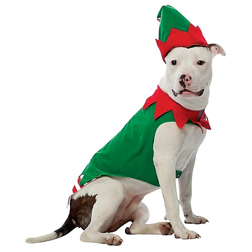 Featured Image for Elf Dog Costume