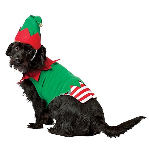 Featured Image for Elf Dog Costume