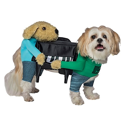 Featured Image for Piano Dog Costume