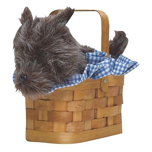 Featured Image for Purse Doggie Basket