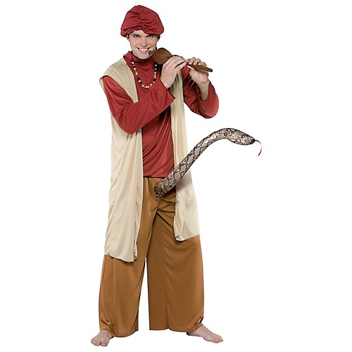 Featured Image for Snake Charmer Costume