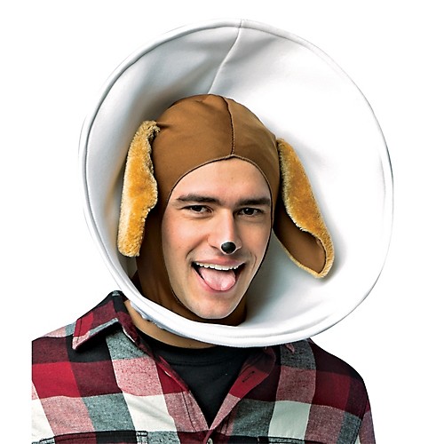 Featured Image for Dog In Cone Headpiece