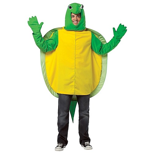 Featured Image for Turtle Costume