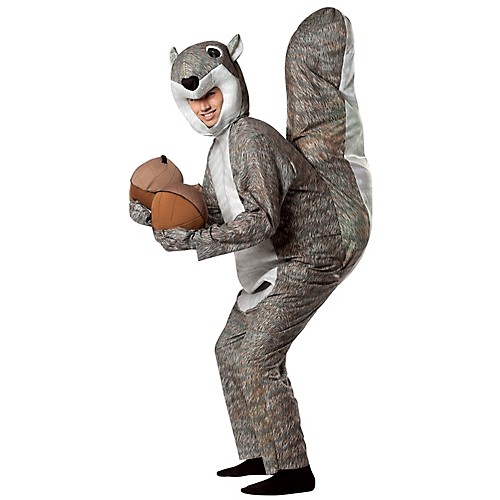 Featured Image for Squirrel Costume