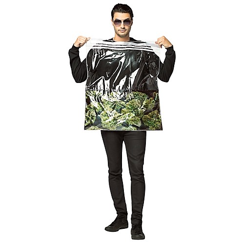 Featured Image for Bag Of Weed Costume