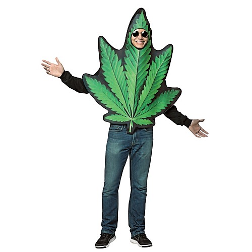 Featured Image for Pot Leaf Get Real Costume