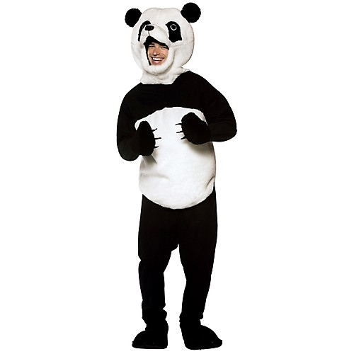 Featured Image for Panda Costume