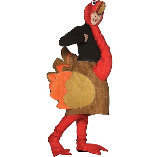 Featured Image for Turkey Costume