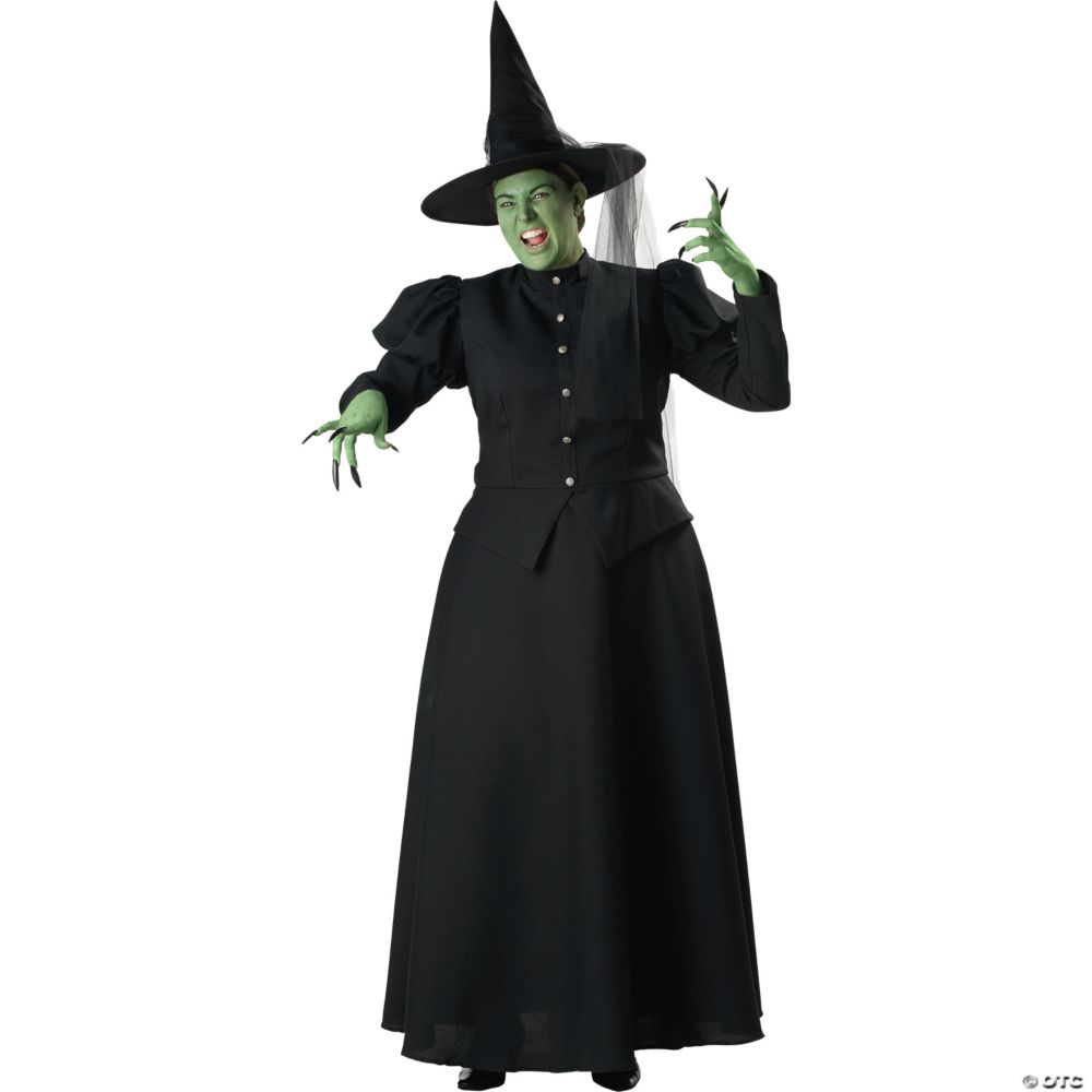 Women's Plus Size Witch Costume