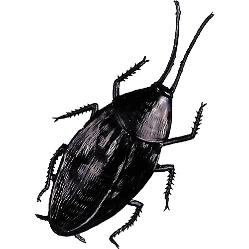 Featured Image for Cockroach Giant