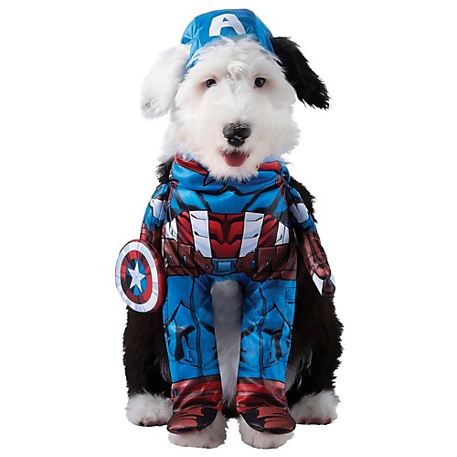 Featured Image for Captain America Pet Costume