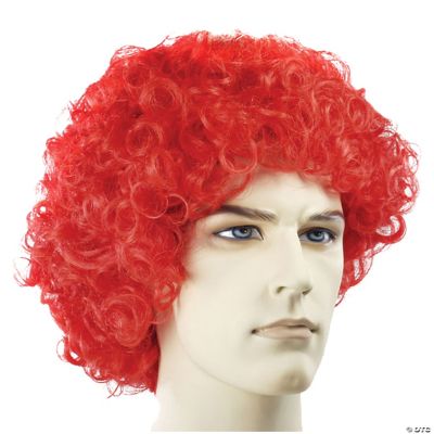 Featured Image for FD Curly Clown Wig