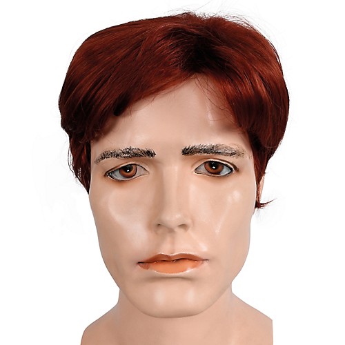 Featured Image for Bargain Men’s Wig