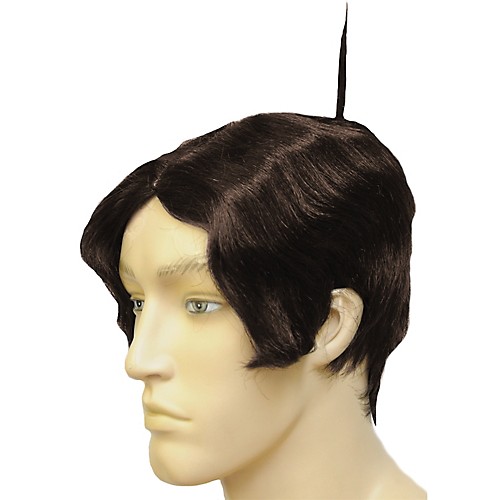 Featured Image for Alfalfa Wig