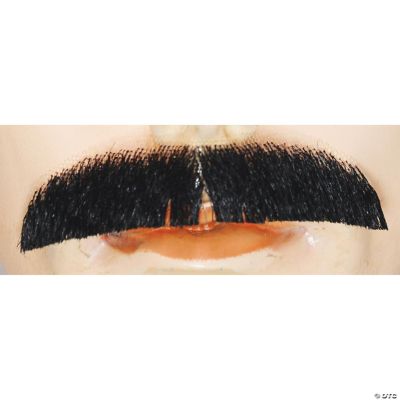 Featured Image for EM 217KH Mustache – Blend